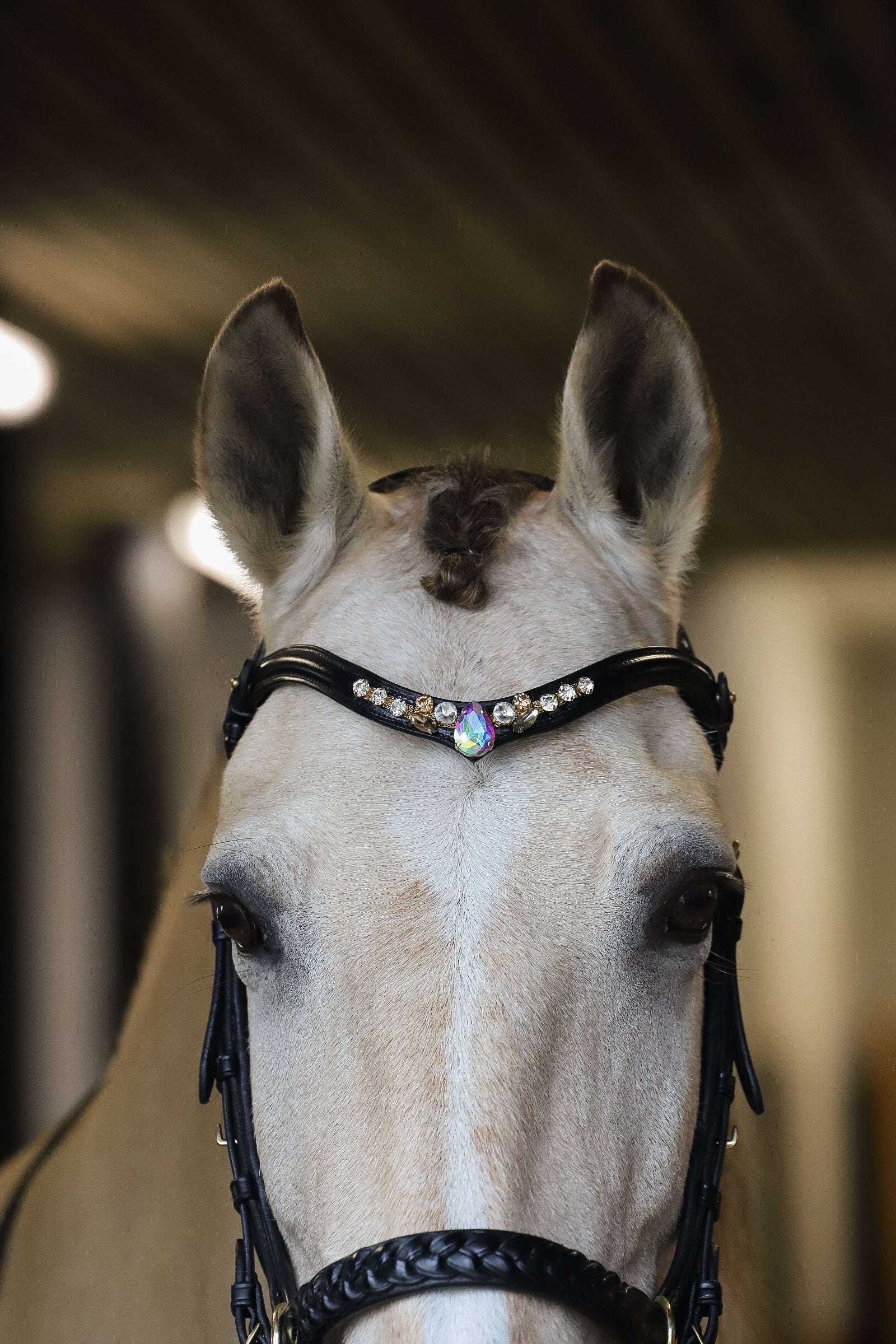 Masego Horsewear Rose Dove Browband - MASEGO horsewear - Equiluxe Tack