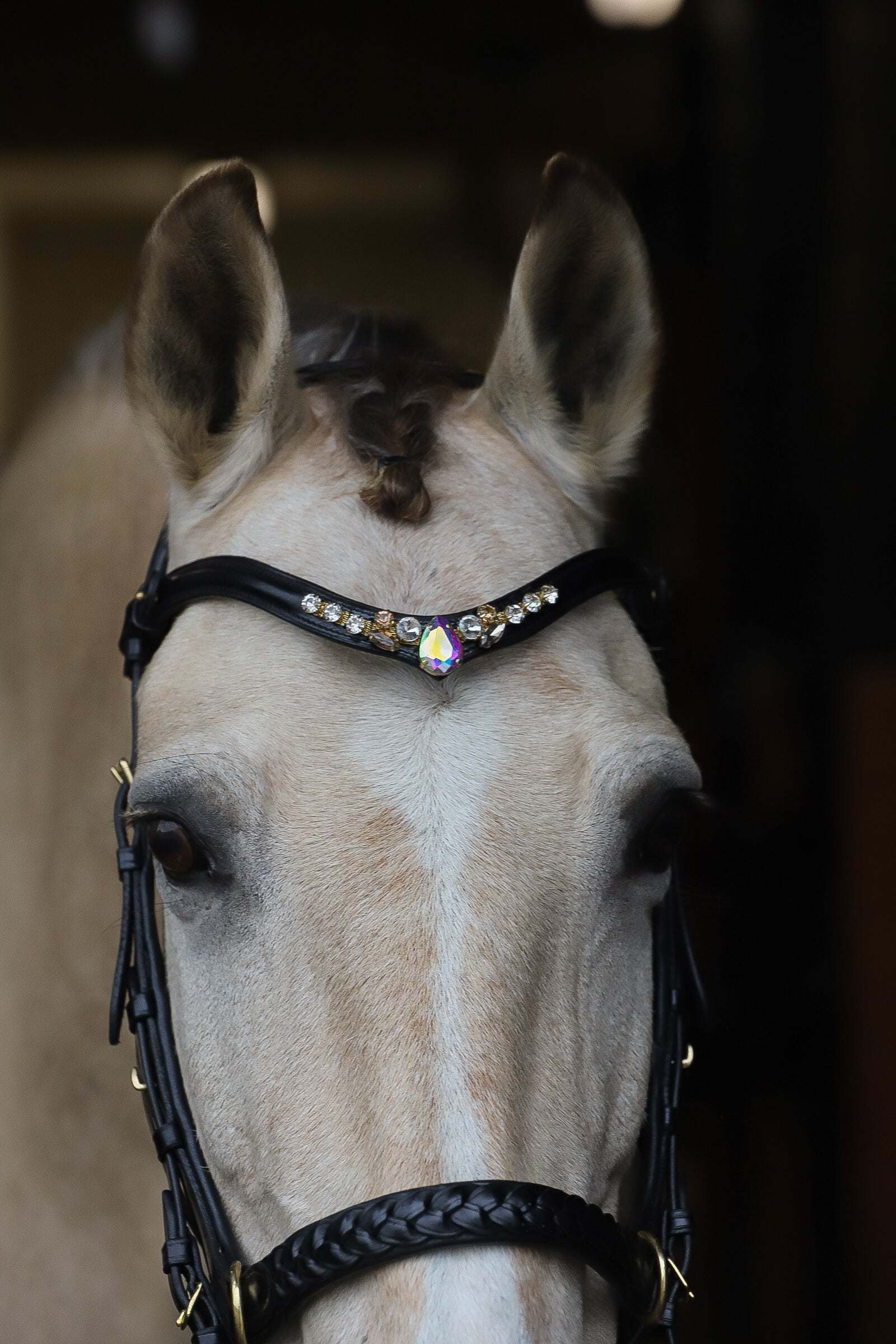 Masego Horsewear Rose Dove Browband - MASEGO horsewear - Equiluxe Tack