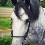 Masego Horsewear Slim klinker Golden peach Browband - MASEGO horsewear - Equiluxe Tack