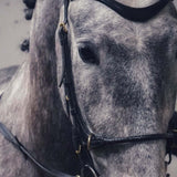 Masego Horsewear Soft Leather Browband - MASEGO horsewear - Equiluxe Tack