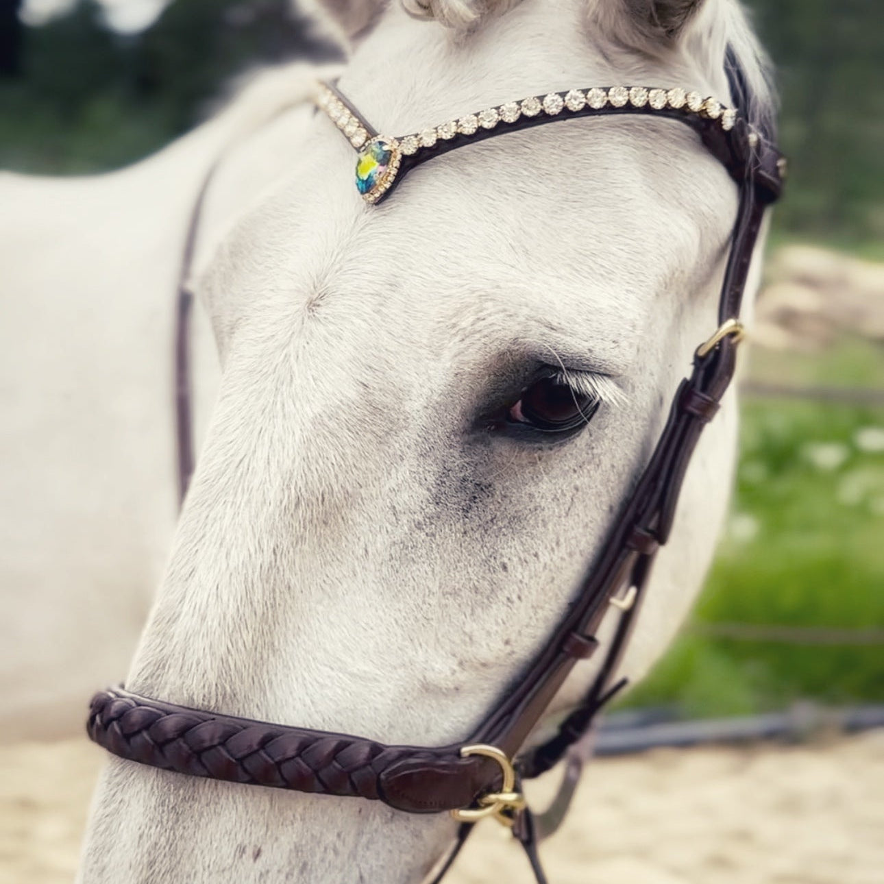 Masego Horsewear Sonia Crystal Browband - MASEGO horsewear - Equiluxe Tack