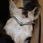 Masego Horsewear Sonia Single Aurora Browband - MASEGO horsewear - Equiluxe Tack