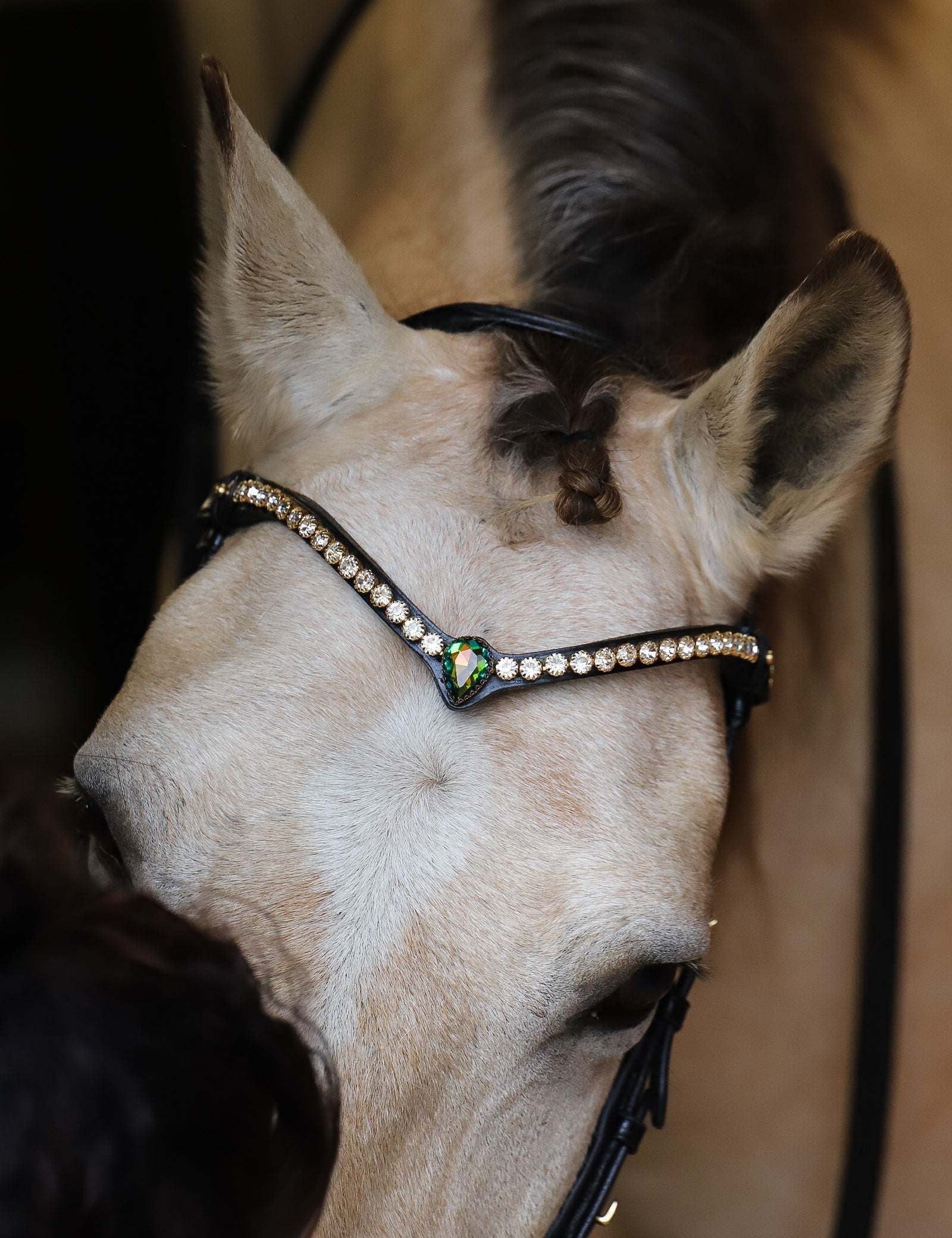 Masego Horsewear Sonia Single Aurora Browband - MASEGO horsewear - Equiluxe Tack