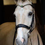 Masego Horsewear Sonia Single Aurora Browband - MASEGO horsewear - Equiluxe Tack
