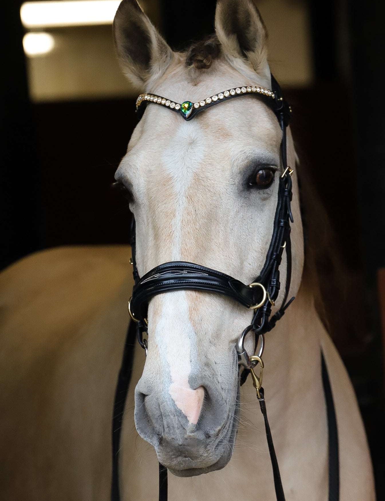 Masego Horsewear Sonia Single Aurora Browband - MASEGO horsewear - Equiluxe Tack