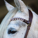 Masego Horsewear Viva Browband - MASEGO horsewear - Equiluxe Tack