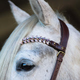 Masego Horsewear Viva Browband - MASEGO horsewear - Equiluxe Tack
