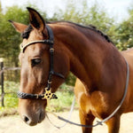 Masego Horsewear Zoe Hackamore Bridle - MASEGO horsewear - Equiluxe Tack
