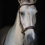 Masego Horsewear Zoe Hackamore Bridle - MASEGO horsewear - Equiluxe Tack