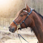 Masego Horsewear Zoe Hackamore Bridle - MASEGO horsewear - Equiluxe Tack