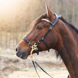 Masego Horsewear Zoe Hackamore Bridle - MASEGO horsewear - Equiluxe Tack