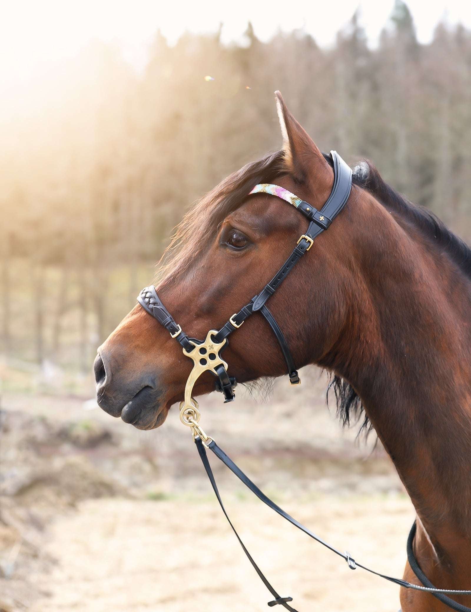 Masego Horsewear Zoe Hackamore Bridle - MASEGO horsewear - Equiluxe Tack