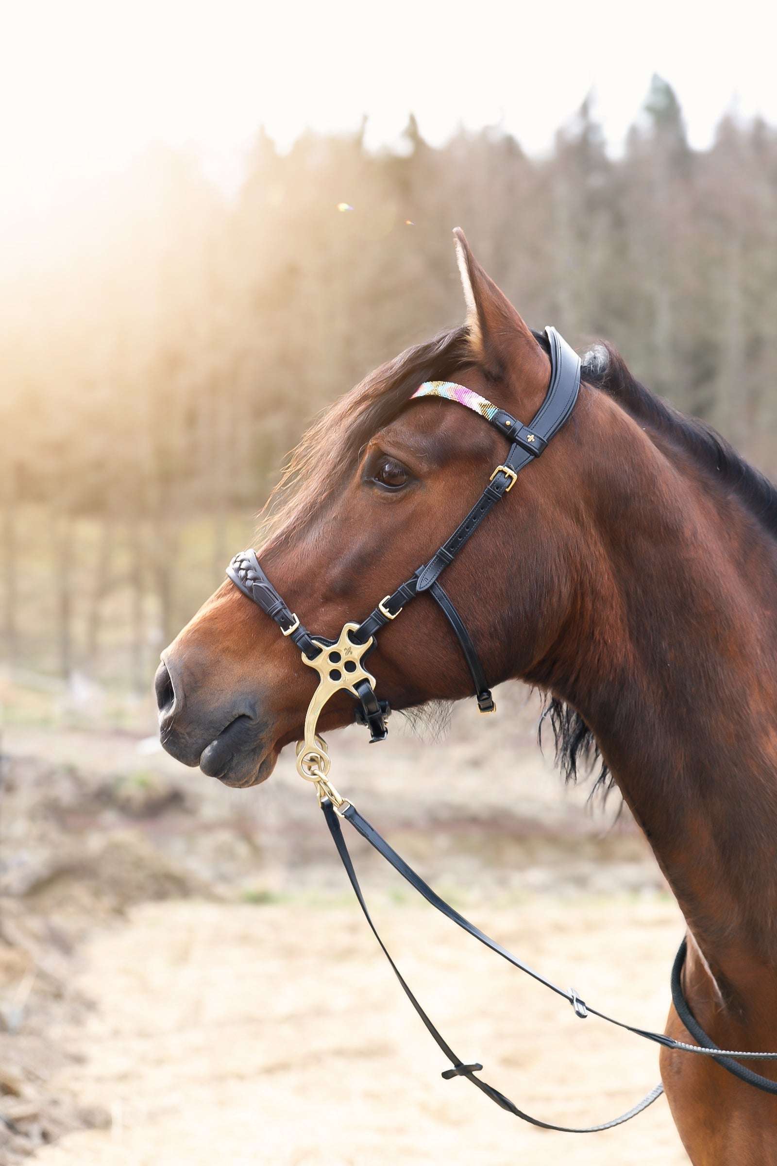 Masego Horsewear Zoe Hackamore Bridle - MASEGO horsewear - Equiluxe Tack