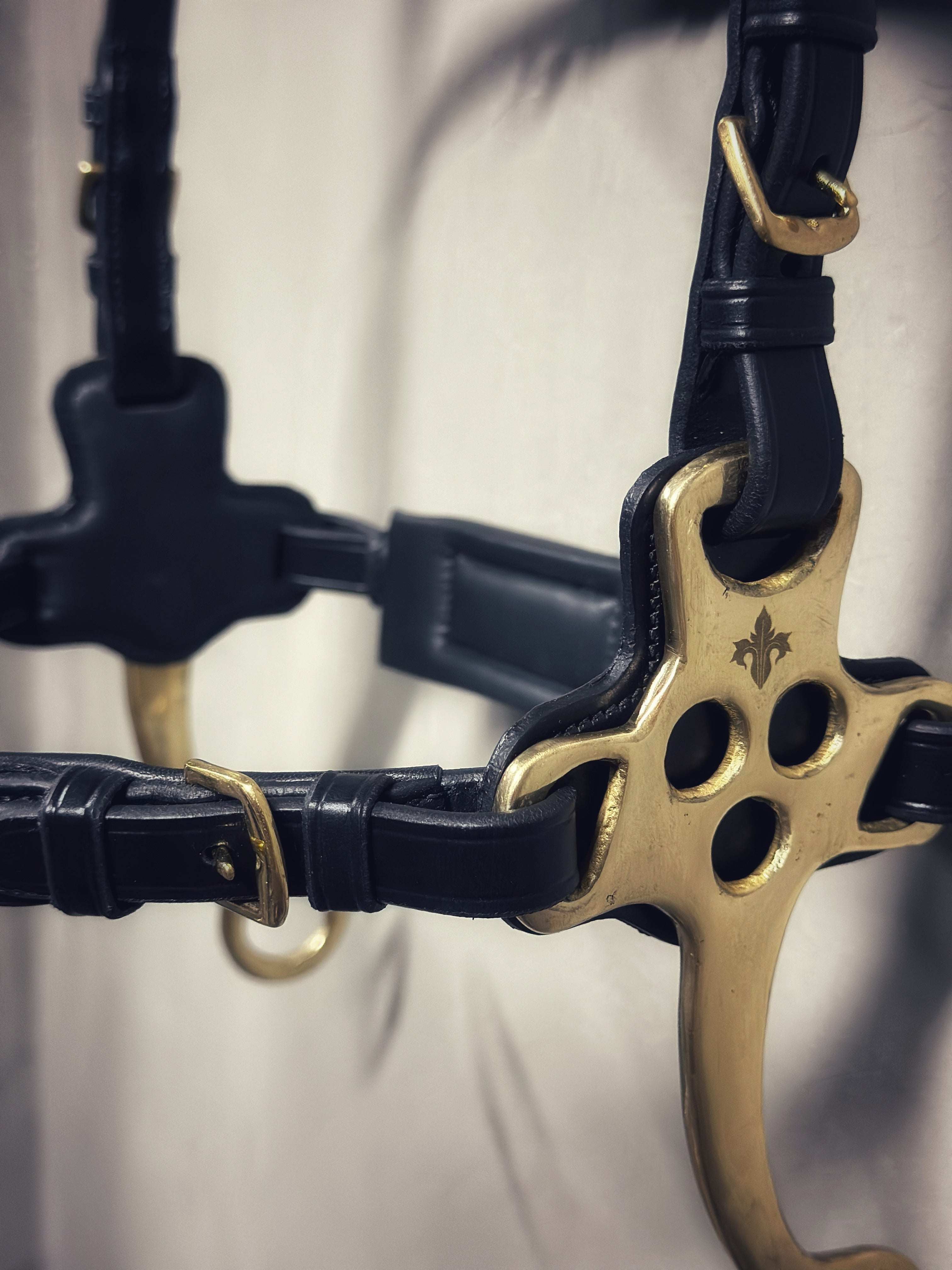 Masego Horsewear Zoe Hackamore Bridle - MASEGO horsewear - Equiluxe Tack