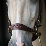 Masego Horsewear Zoe Hackamore Bridle - MASEGO horsewear - Equiluxe Tack
