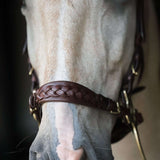 Masego Horsewear Zoe Hackamore Bridle - MASEGO horsewear - Equiluxe Tack