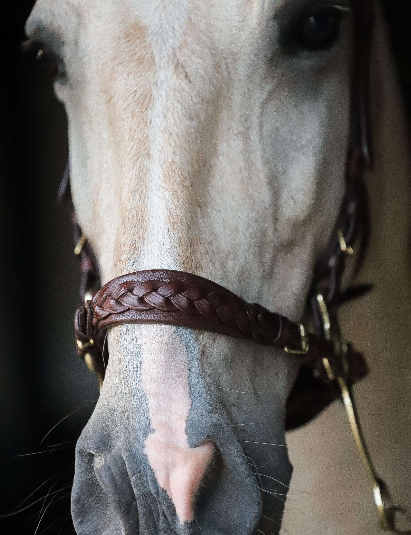 Masego Horsewear Zoe Hackamore Bridle - MASEGO horsewear - Equiluxe Tack