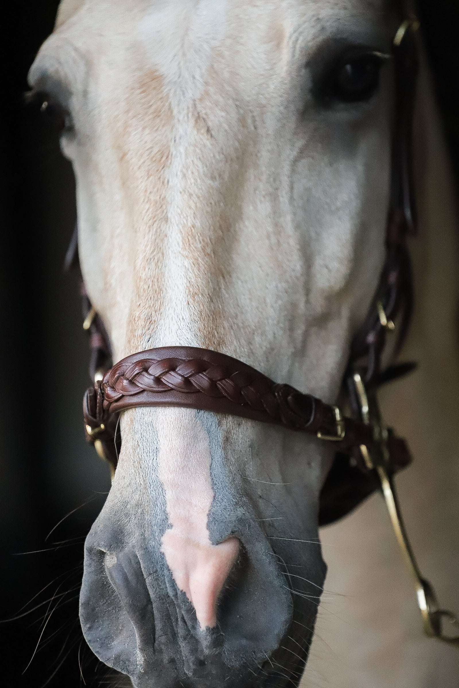 Masego Horsewear Zoe Hackamore Bridle - MASEGO horsewear - Equiluxe Tack