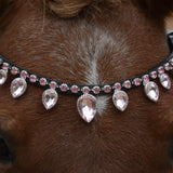 Masego Light Pink Raindrop Browband - MASEGO horsewear - Equiluxe Tack