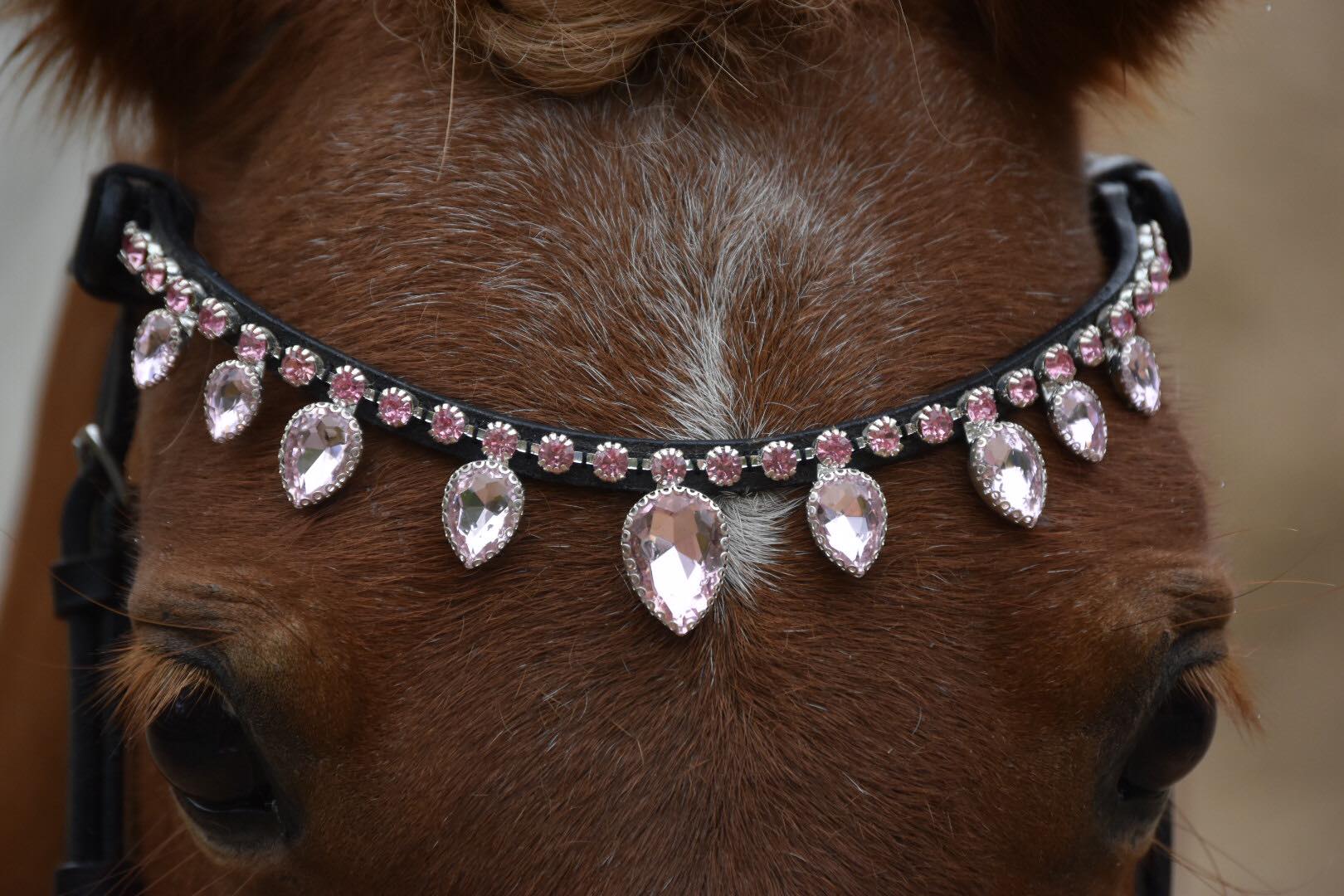 Masego Light Pink Raindrop Browband - MASEGO horsewear - Equiluxe Tack