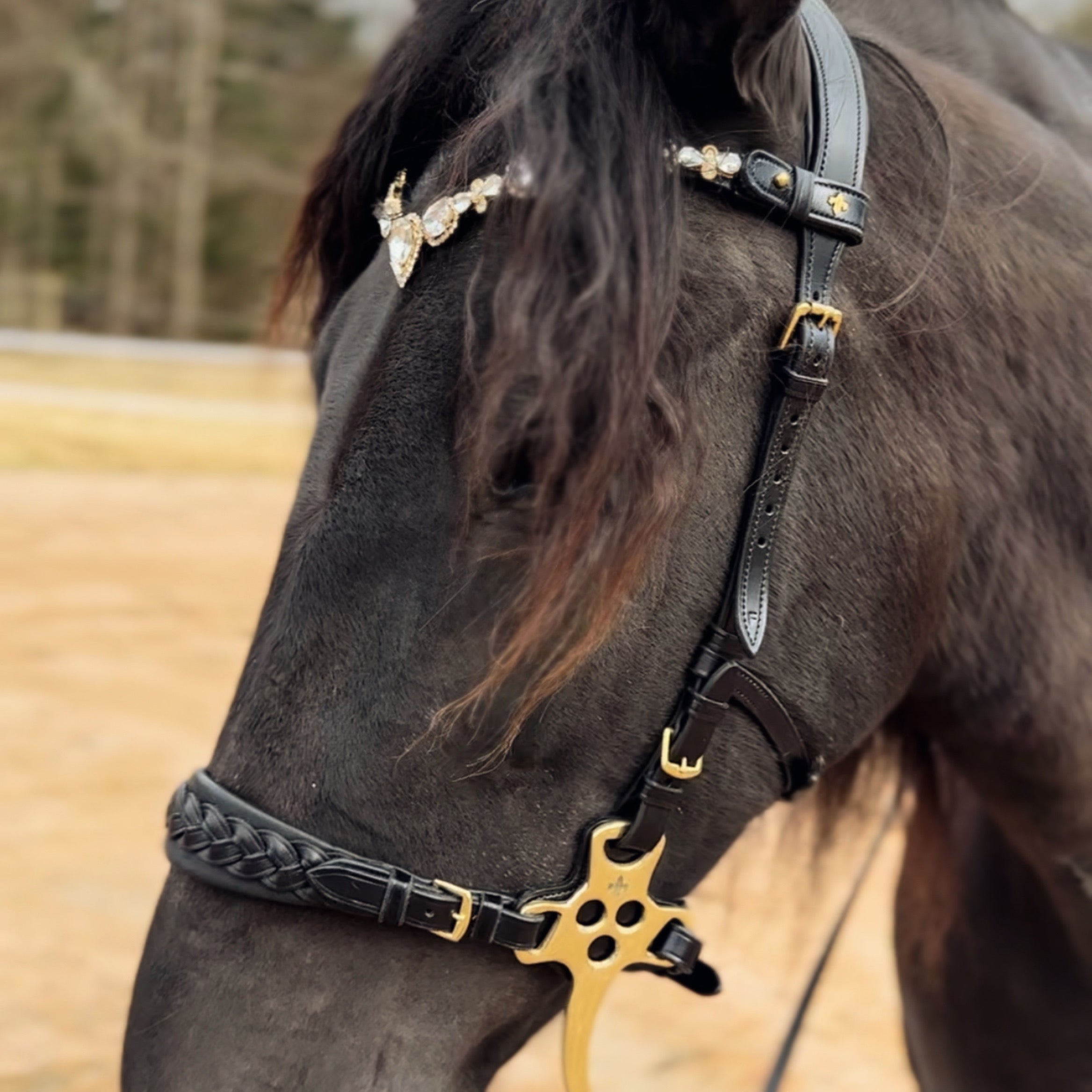 Masego Stardust Italian Leather Browband - MASEGO horsewear - Equiluxe Tack