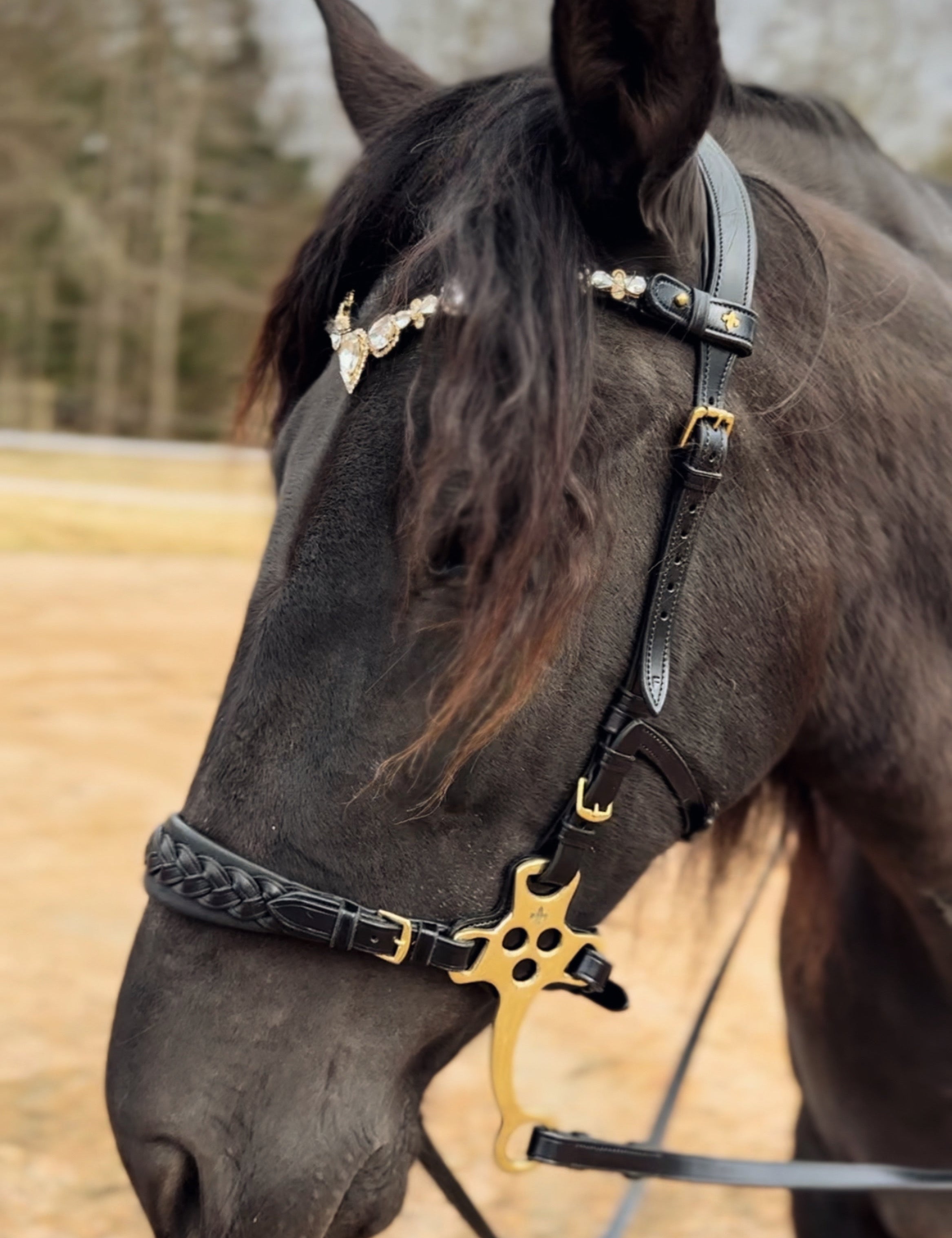 Masego Stardust Italian Leather Browband - MASEGO horsewear - Equiluxe Tack
