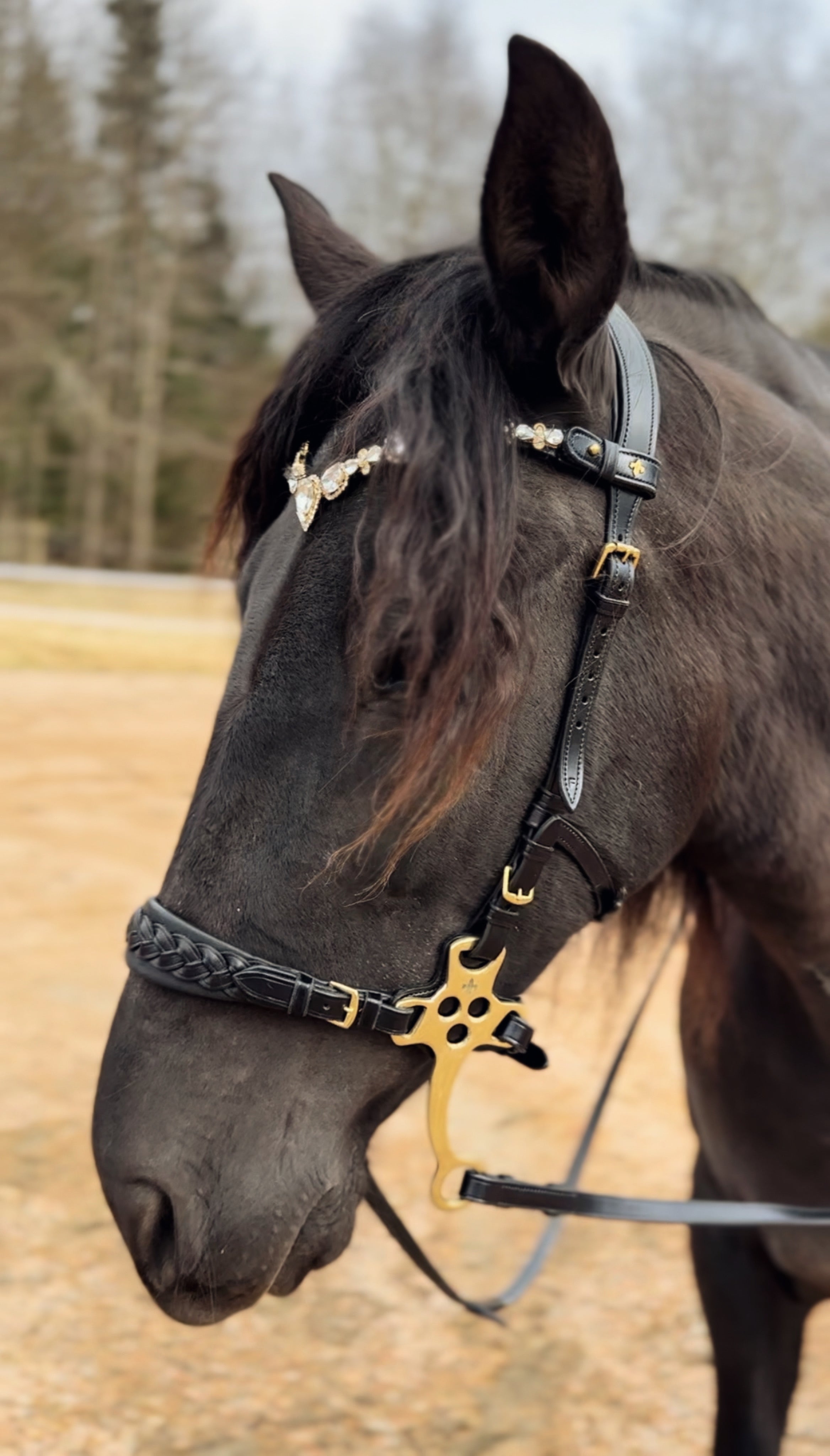 Masego Stardust Italian Leather Browband - MASEGO horsewear - Equiluxe Tack