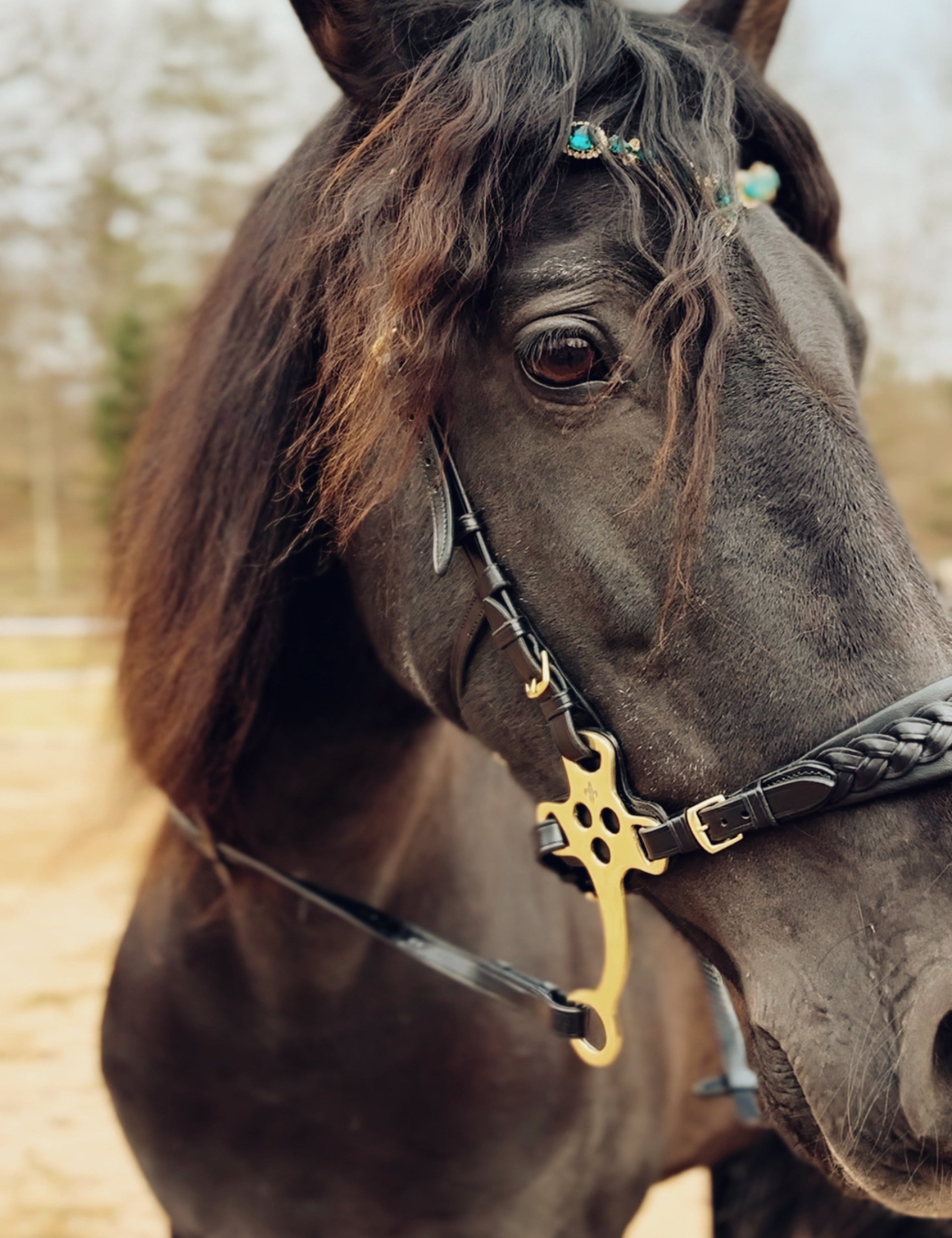 Masego Zoe Italian Leather Hackamore Bridle - MASEGO horsewear - Equiluxe Tack
