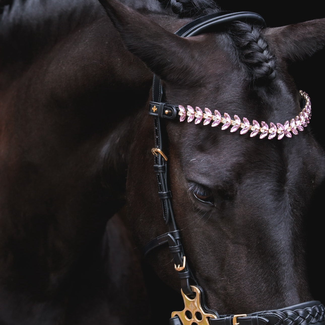 Masego Zoe Italian Leather Hackamore Bridle - MASEGO horsewear - Equiluxe Tack