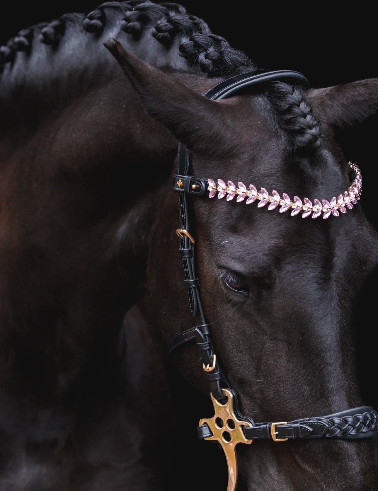 Masego Zoe Italian Leather Hackamore Bridle - MASEGO horsewear - Equiluxe Tack