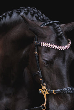 Masego Zoe Italian Leather Hackamore Bridle - MASEGO horsewear - Equiluxe Tack