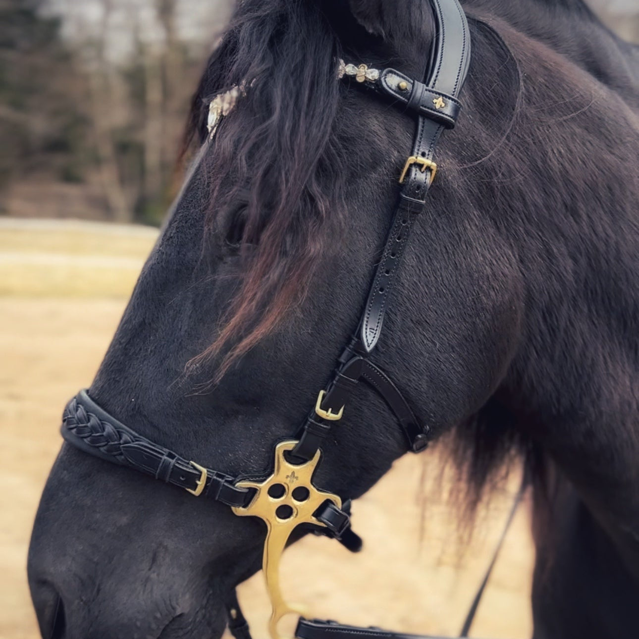 Masego Zoe Italian Leather Hackamore Bridle - MASEGO horsewear - Equiluxe Tack