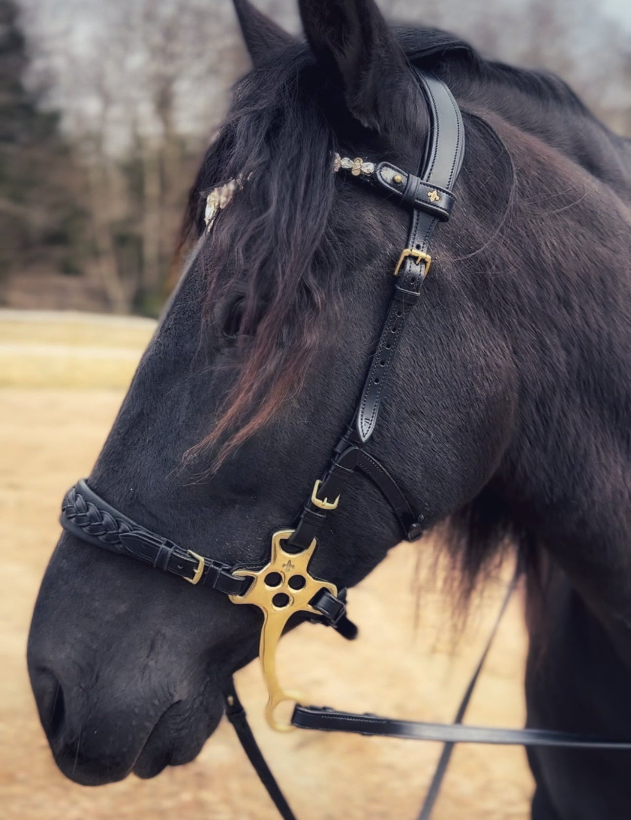 Masego Zoe Italian Leather Hackamore Bridle - MASEGO horsewear - Equiluxe Tack