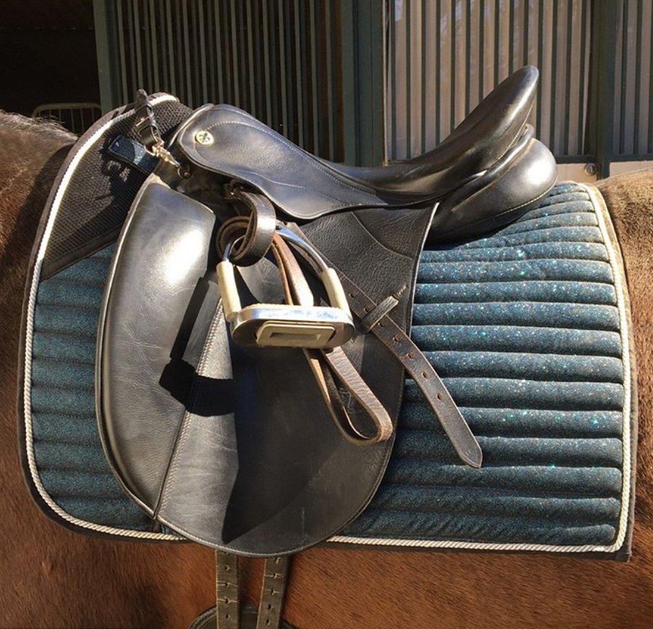 Midnight Blue Dressage Pad - Equiluxe Tack