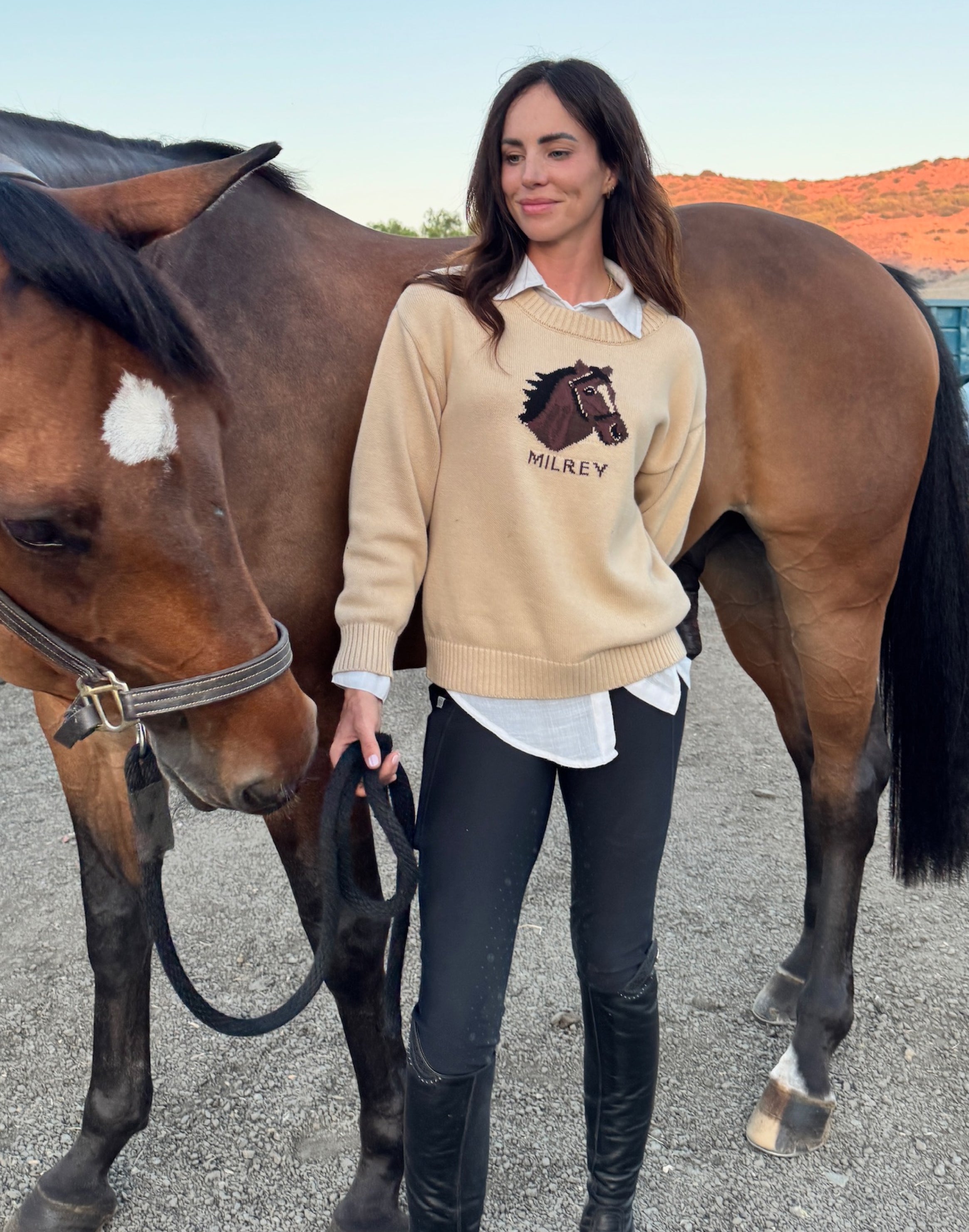 Milrey Horse Head Sweater - Andy (Pre - order) - Milrey - Equiluxe Tack