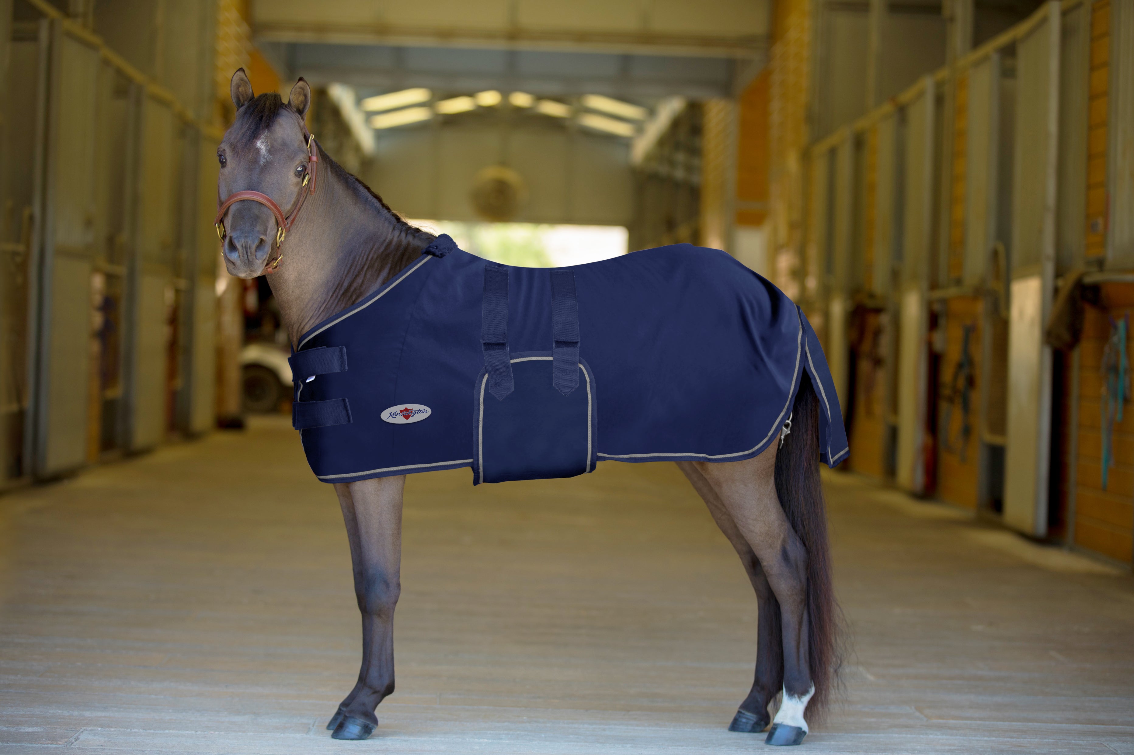 Mini Poly Cotton Stable Sheet - Kensington Protective - Equiluxe Tack