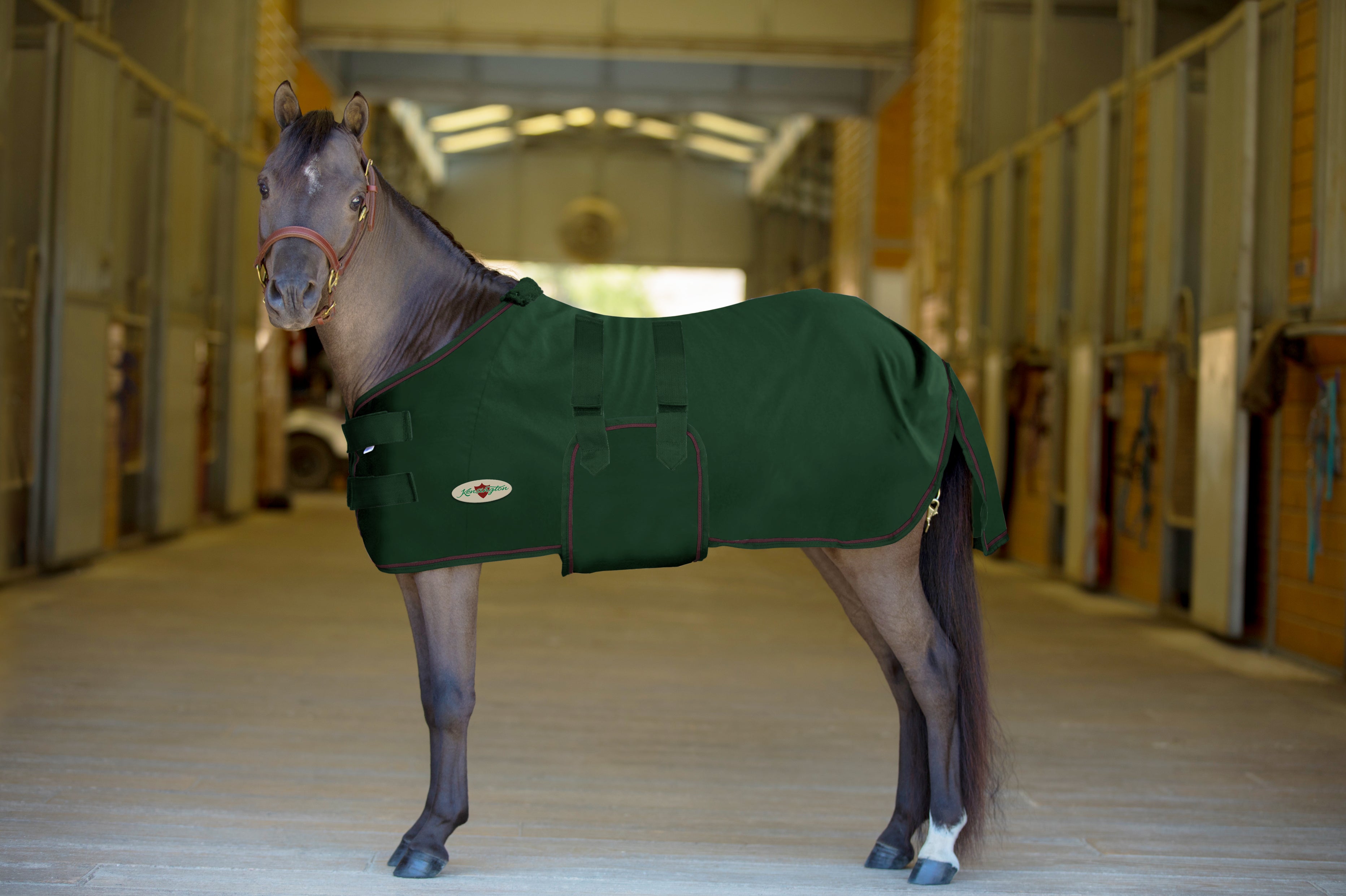 Mini Poly Cotton Stable Sheet - Kensington Protective - Equiluxe Tack