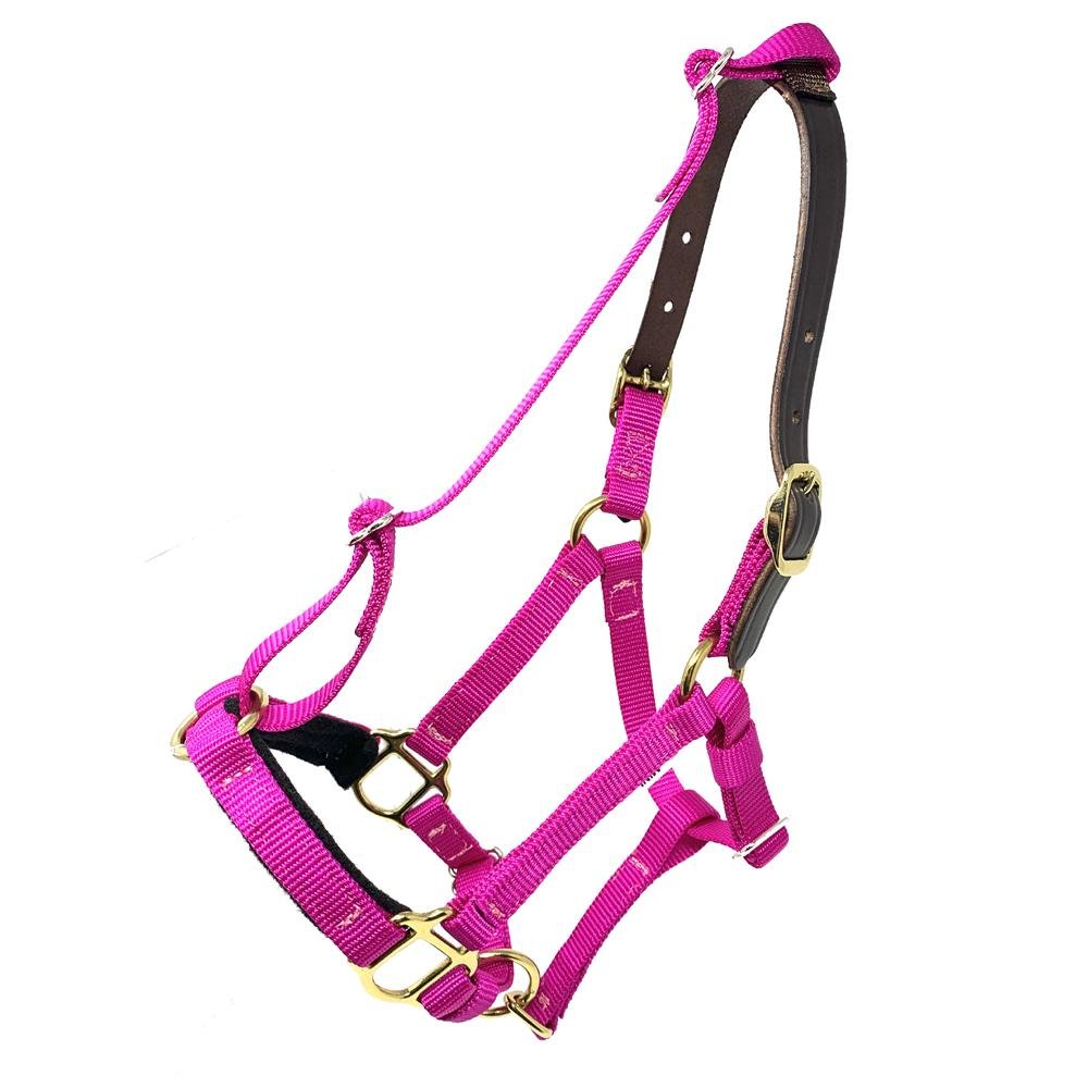 Mini & Small Pony Halters - GG Equine - Equiluxe Tack