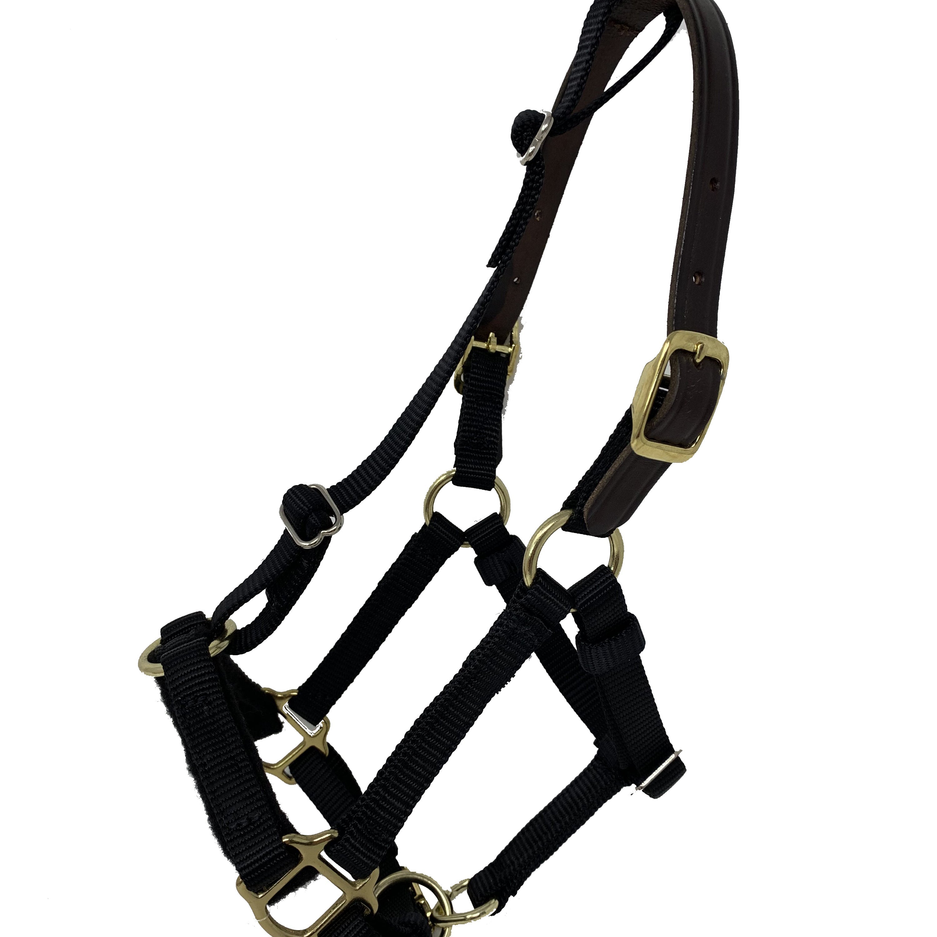 Mini & Small Pony Halters - GG Equine - Equiluxe Tack