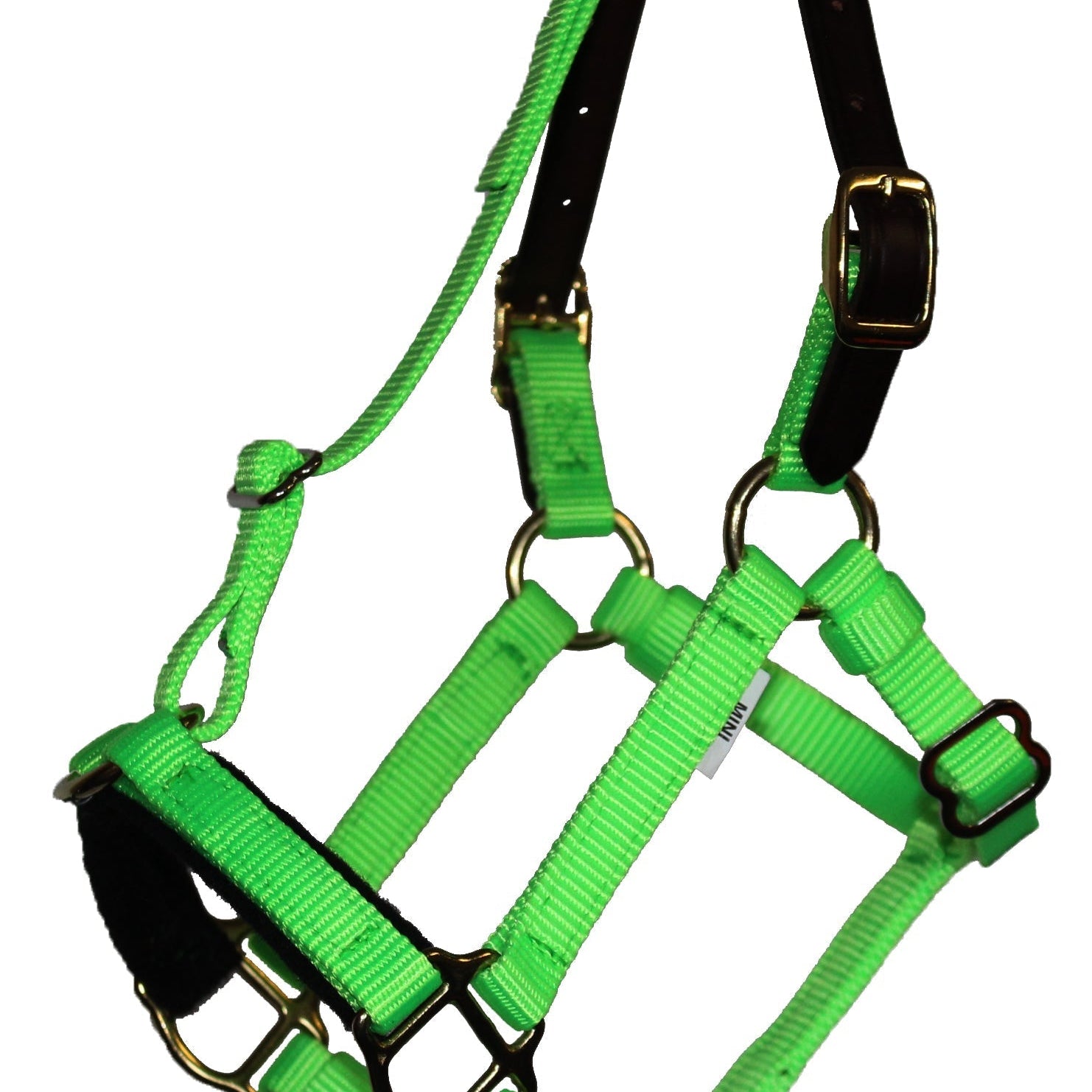 Mini & Small Pony Halters - GG Equine - Equiluxe Tack