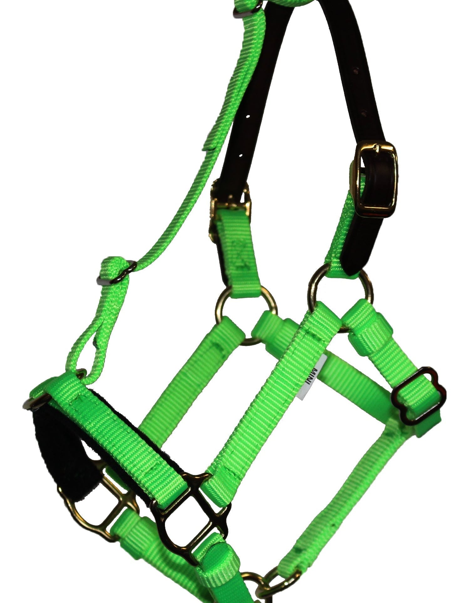 Mini & Small Pony Halters - GG Equine - Equiluxe Tack