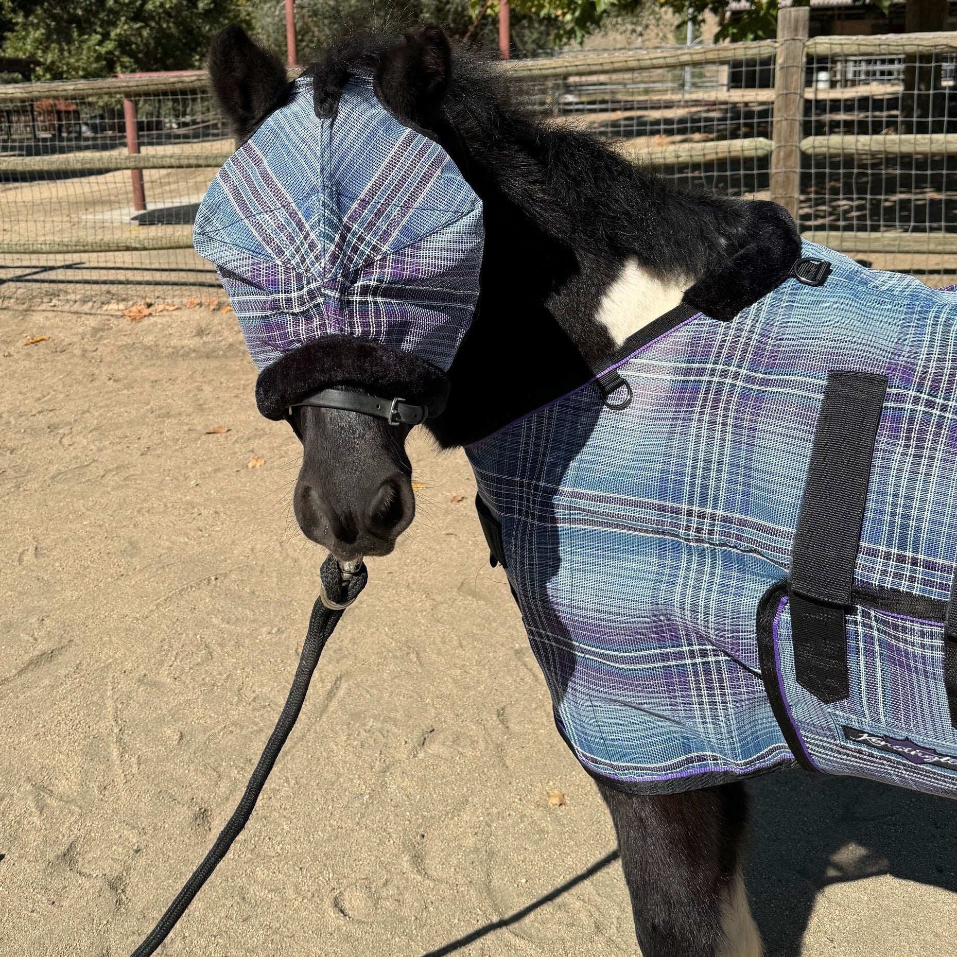 Mini/Pony Fly Mask with Fleece Trim & Dual Ear Openings 73% UV *New Design - Kensington Protective Products - Equiluxe Tack