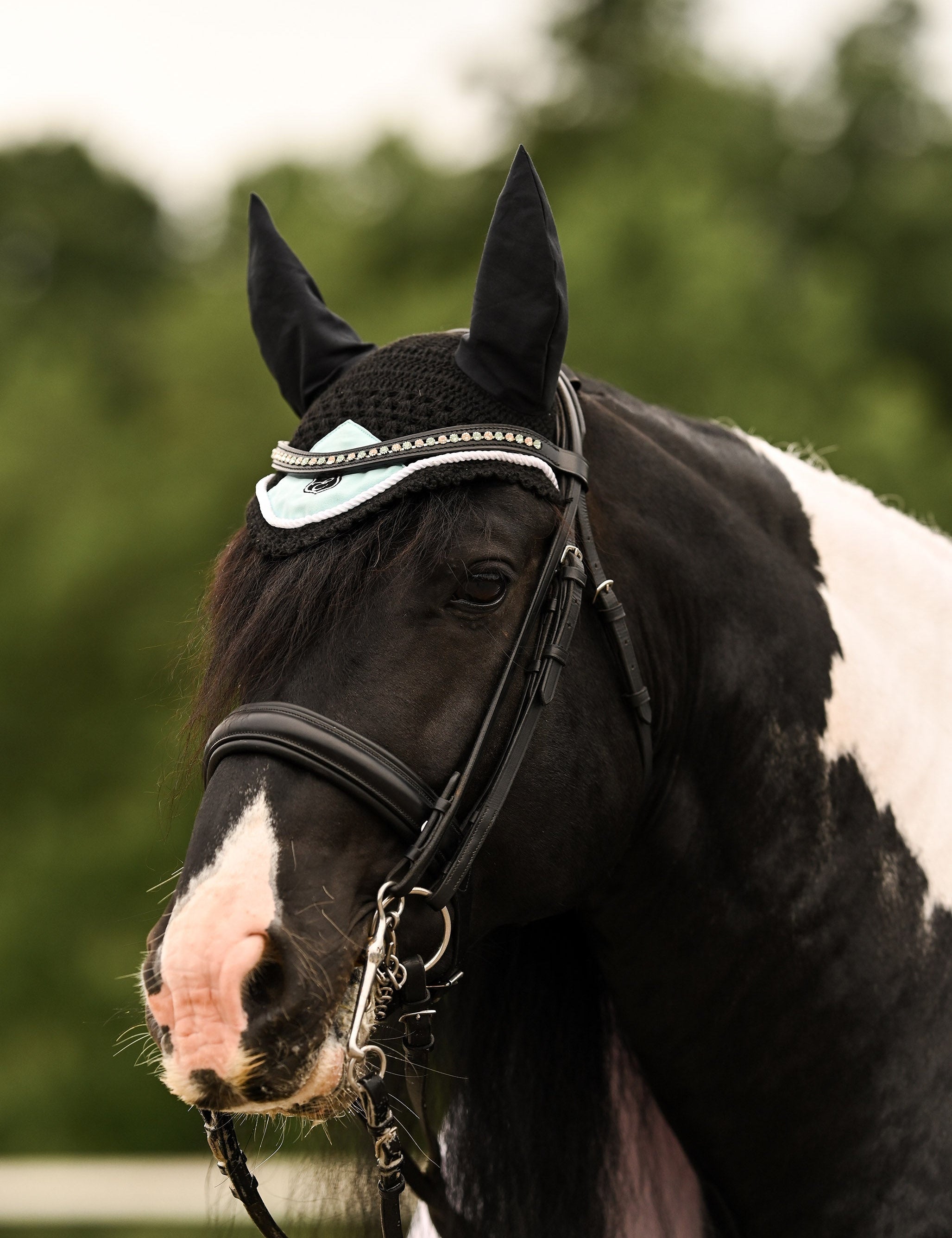 Mint and Gold Browband - Equestroom - Equiluxe Tack