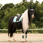 Mint Green Saddle Pad Set - Equestroom - Equiluxe Tack