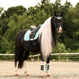 Mint Green Saddle Pad Set - Equestroom - Equiluxe Tack