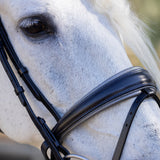 Halter Ego® The Sterling Navy Leather Conical Snaffle