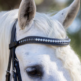 Halter Ego® The Sterling Navy Leather Conical Snaffle