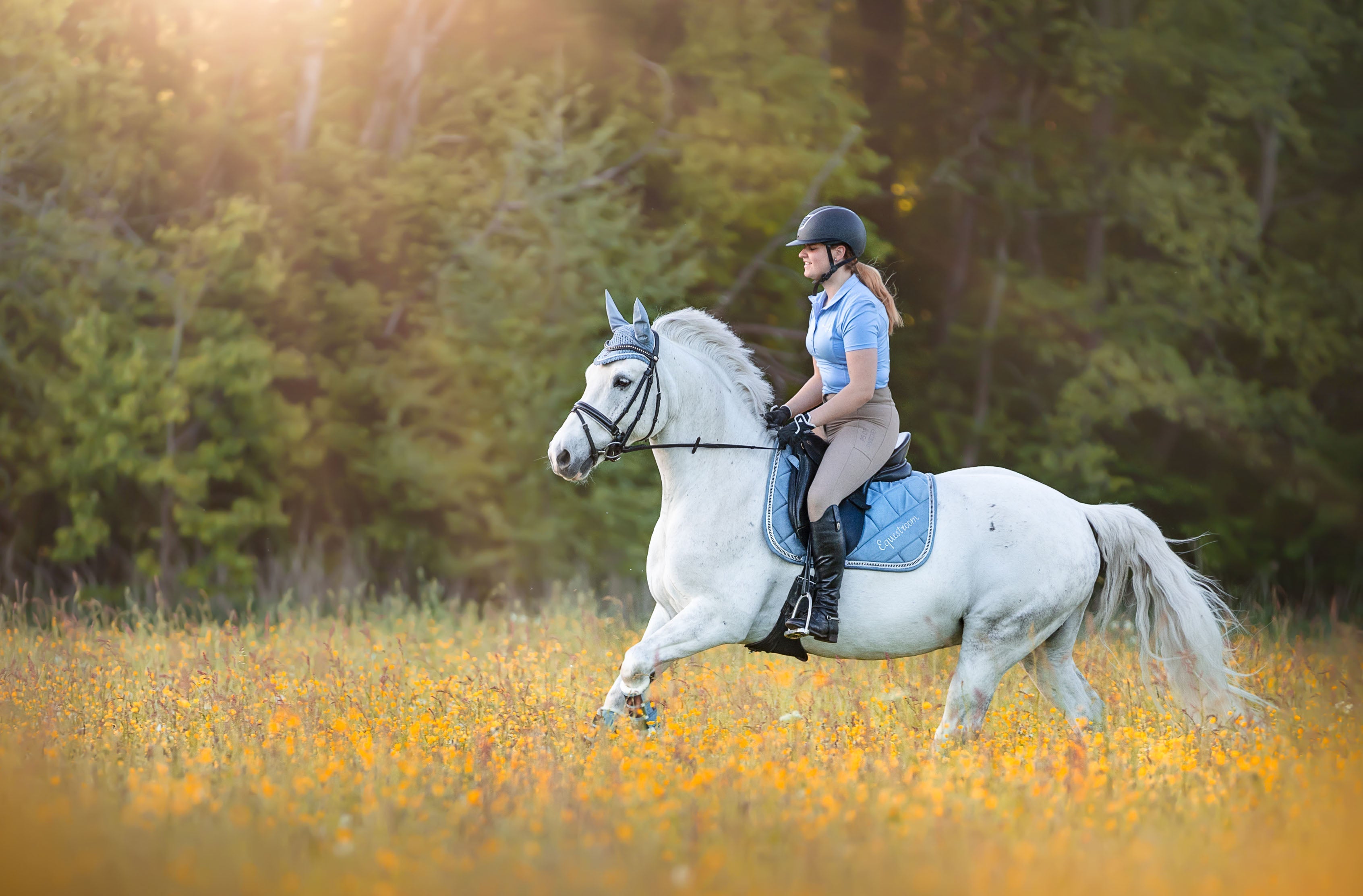 Moonstone Blue Saddle Pad - Equestroom - Equiluxe Tack