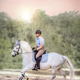 Moonstone Blue Saddle Pad Set - Equestroom - Equiluxe Tack