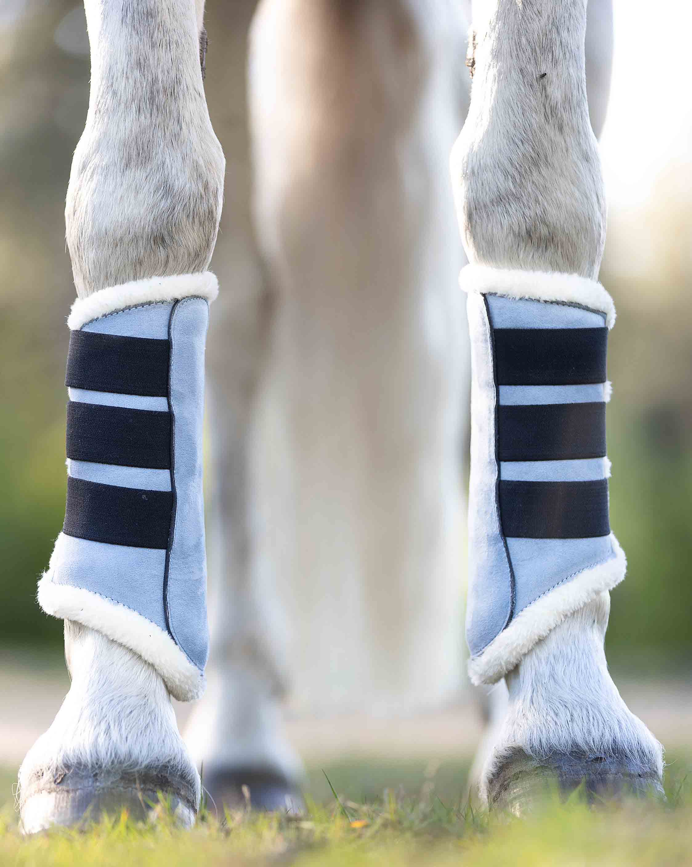 Moonstone Blue Saddle Pad Set - Equestroom - Equiluxe Tack